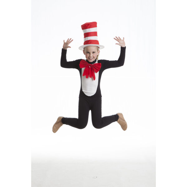 Cat In The Hat