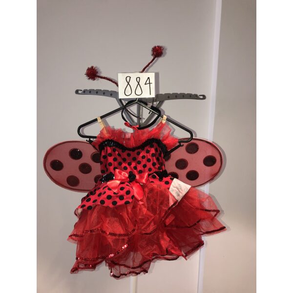 Ladybirds