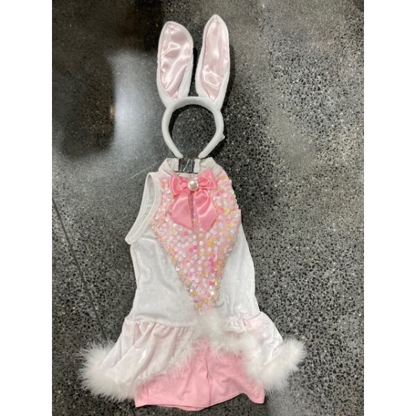 Bunnies