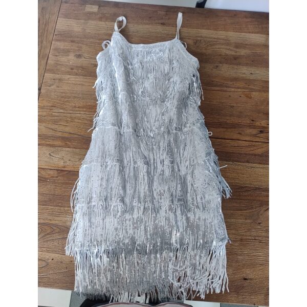 Silver Fringe Dress