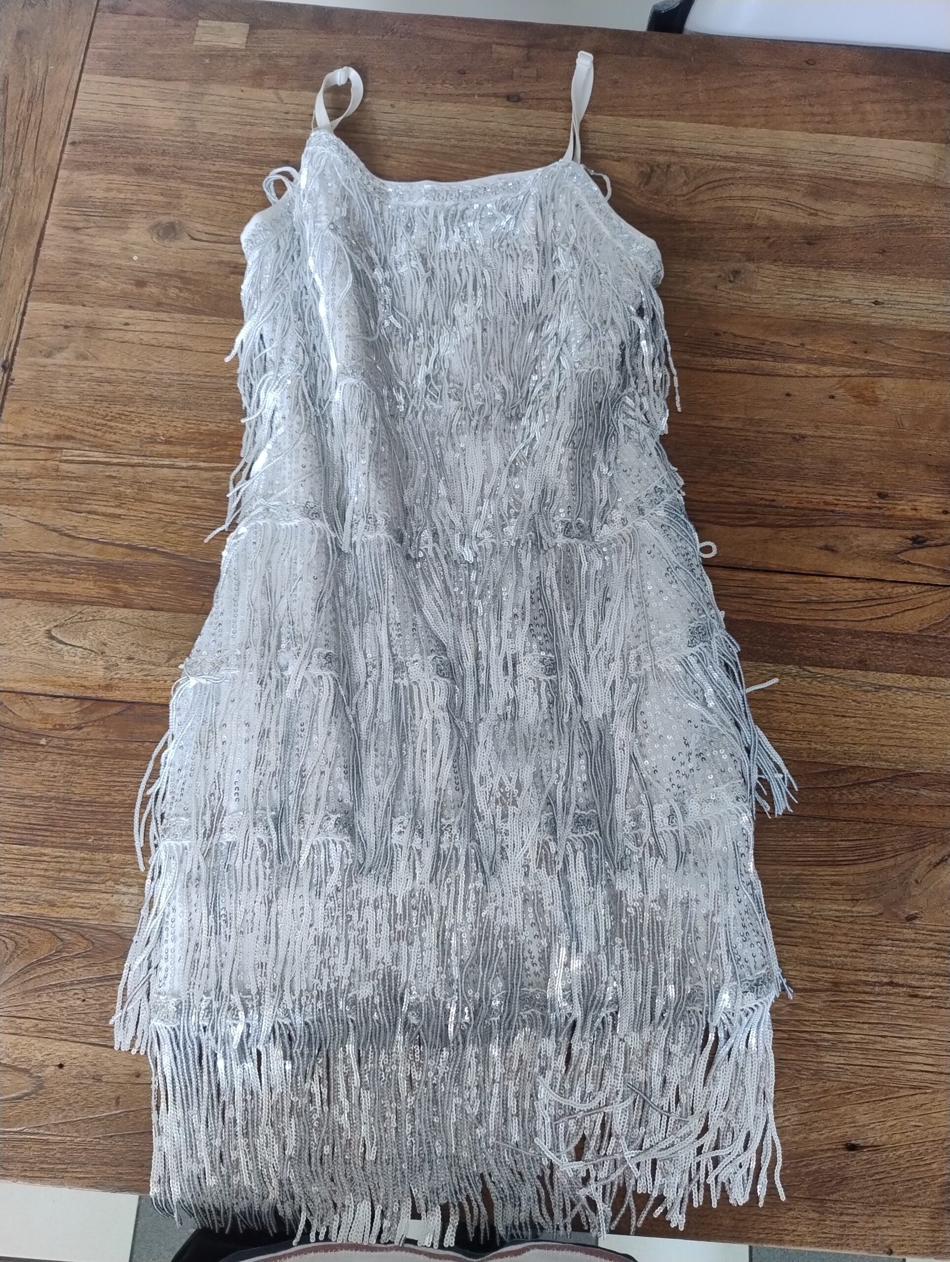 Silver Fringe Dress 3 Silver Fringe Dress 3