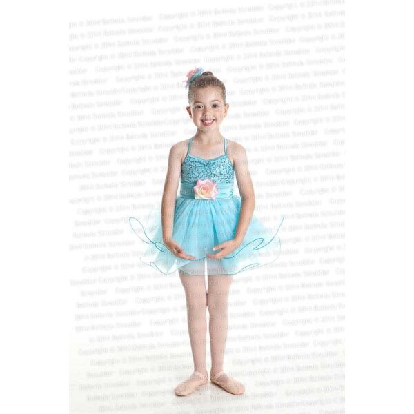 Little Blue Fairies